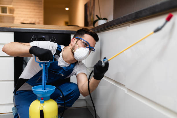 Best Pest Inspection Near Me  in Sebastian, FL