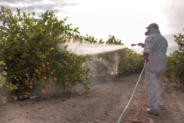 Best Mosquito Control Services  in Sebastian, FL