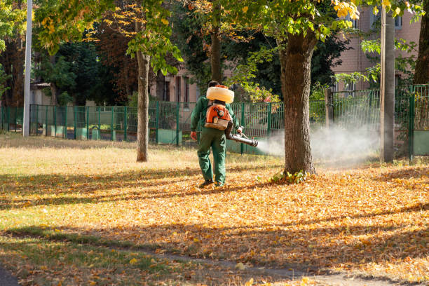 Reliable Sebastian, FL Pest Control Solutions
