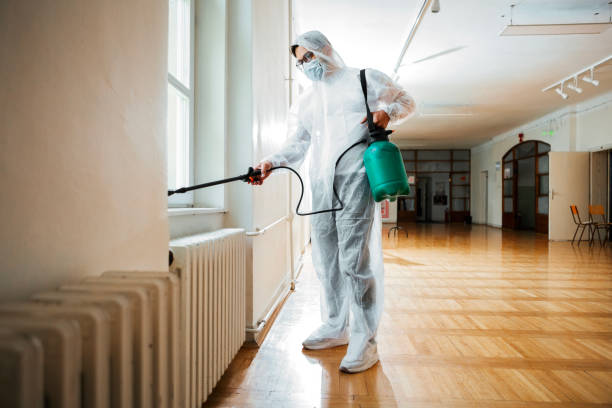 Best Termite Control Services  in Sebastian, FL